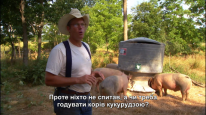 кадри з фільму Корпорація «Їжа»