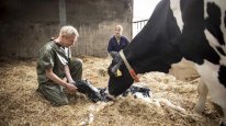 кадри з фільму Втеча від шлюбу