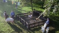 кадри з фільму Мавп'ячі витівки