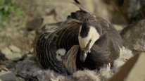 кадри з серіалу Ворожа планета