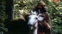 кадри з фільму Три золотих волоски
