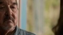 кадри з фільму Вовк і лев
