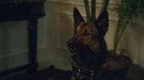 кадри з фільму Макс 2: Герой Білого Дому