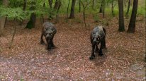 кадри з фільму Воїни Еллади
