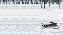 кадри з фільму Поворот не туди 4: Кривавий початок