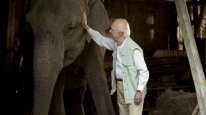 кадри з фільму Сторічний старий, який виліз у вікно і зник