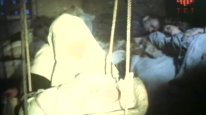 кадри з фільму Три золотих волоски