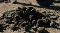 кадри з фільму Друге життя