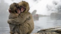 кадри з фільму Одне життя