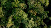 кадри з серіалу Невідома планета Земля