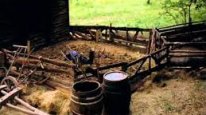 кадри з фільму Гарпії