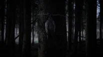 кадри з фільму Бембі: Відплата