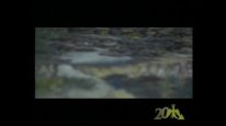 кадри з фільму Брати по крові