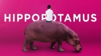 кадри з фільму Гіпопотам