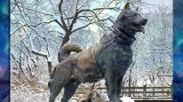 кадри з фільму Балто
