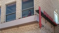 кадри з фільму Мій батько з холодним носом