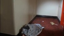 кадри з фільму Вирок часу
