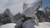кадри з серіалу Сяйво