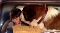 кадри з фільму Бетховен 6