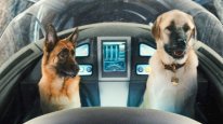 кадри з фільму Коти проти собак: Помста Кітті Галор