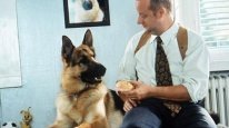 кадри з серіалу Комісар Рекс