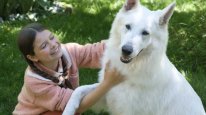 кадри з фільму Лампо: Вірний пес