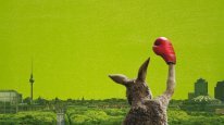 кадри з фільму Обережно, Кенгуру!