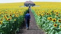 кадри з фільму І все освітилося