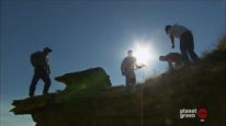 кадри з фільму Таємниці динозаврів