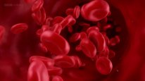кадри з фільму Фантастичний світ гормонів з доктором Джоном Уоссом