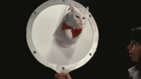 кадри з фільму Про що думають коти
