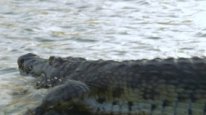 кадри з серіалу Незвідані води з Джеремі Вейдом