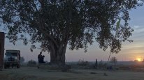 кадри з фільму Віха