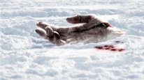 кадри з фільму Поворот не туди 4: Кривавий початок