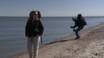 кадри з фільму Око звіра