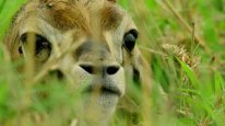 кадри з серіалу Ворожа планета