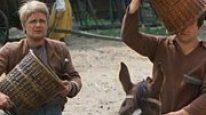 кадри з фільму Як вийти заміж за короля