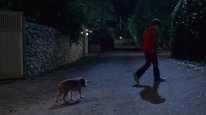 кадри з фільму Кудлатий спецназ
