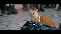 кадри з фільму Вуличний кіт на прізвисько Боб