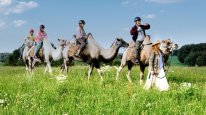 кадри з фільму Золота рибка