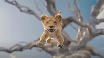 кадри з фільму Муфаса: Король Лев