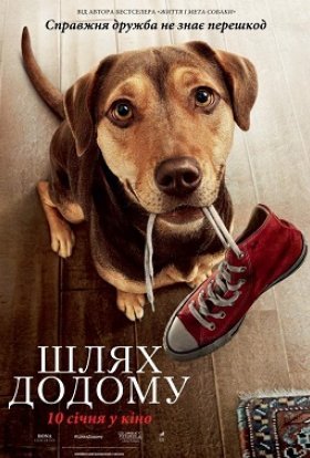 постер до фільму Шлях додому дивитися онлайн