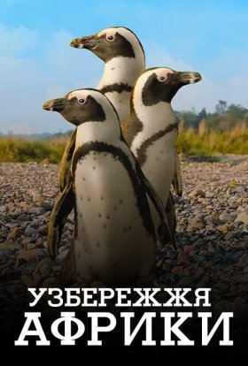 постер серіалу Узбережжя Африки