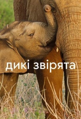 постер серіалу Дикі звірята