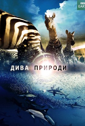 постер серіалу Дива природи / Бі-Бі-Сі Найвеличніші події живої природи
