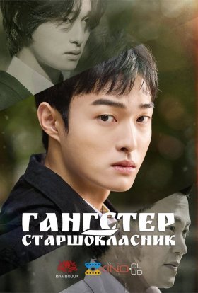 постер серіалу Гангстер-старшокласник