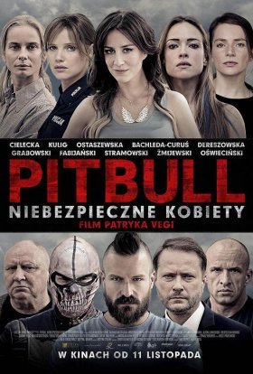 постер до фільму Пітбуль. Небезпечні жінки дивитися онлайн